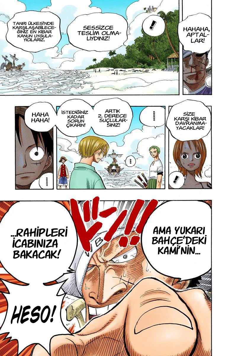One Piece - Bölüm 242 - Sayfa 17