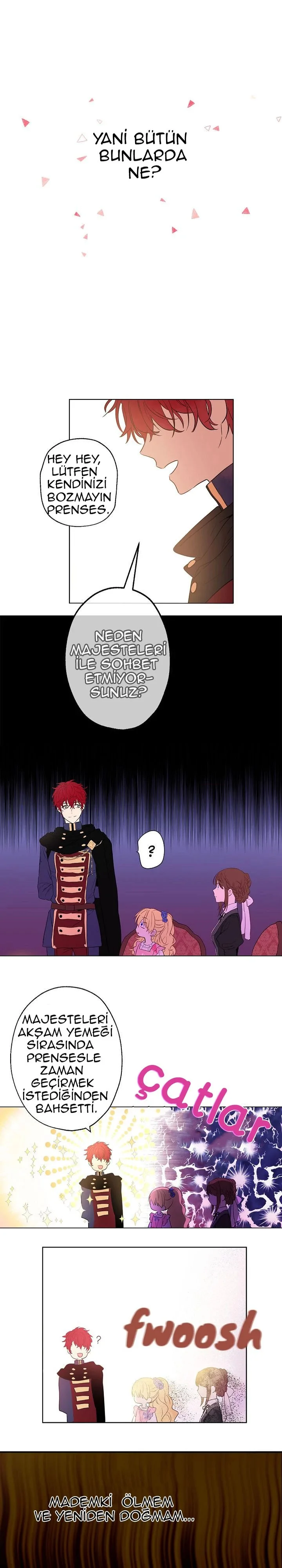 Who Made Me a Princess - Bölüm 11 - Sayfa 8