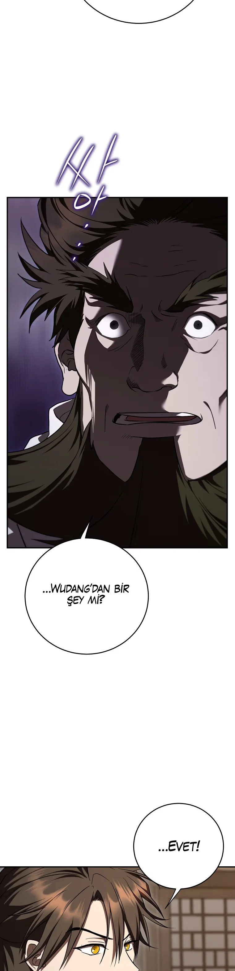 Wandering Warrior of Wudang - Bölüm 154 - Sayfa 13