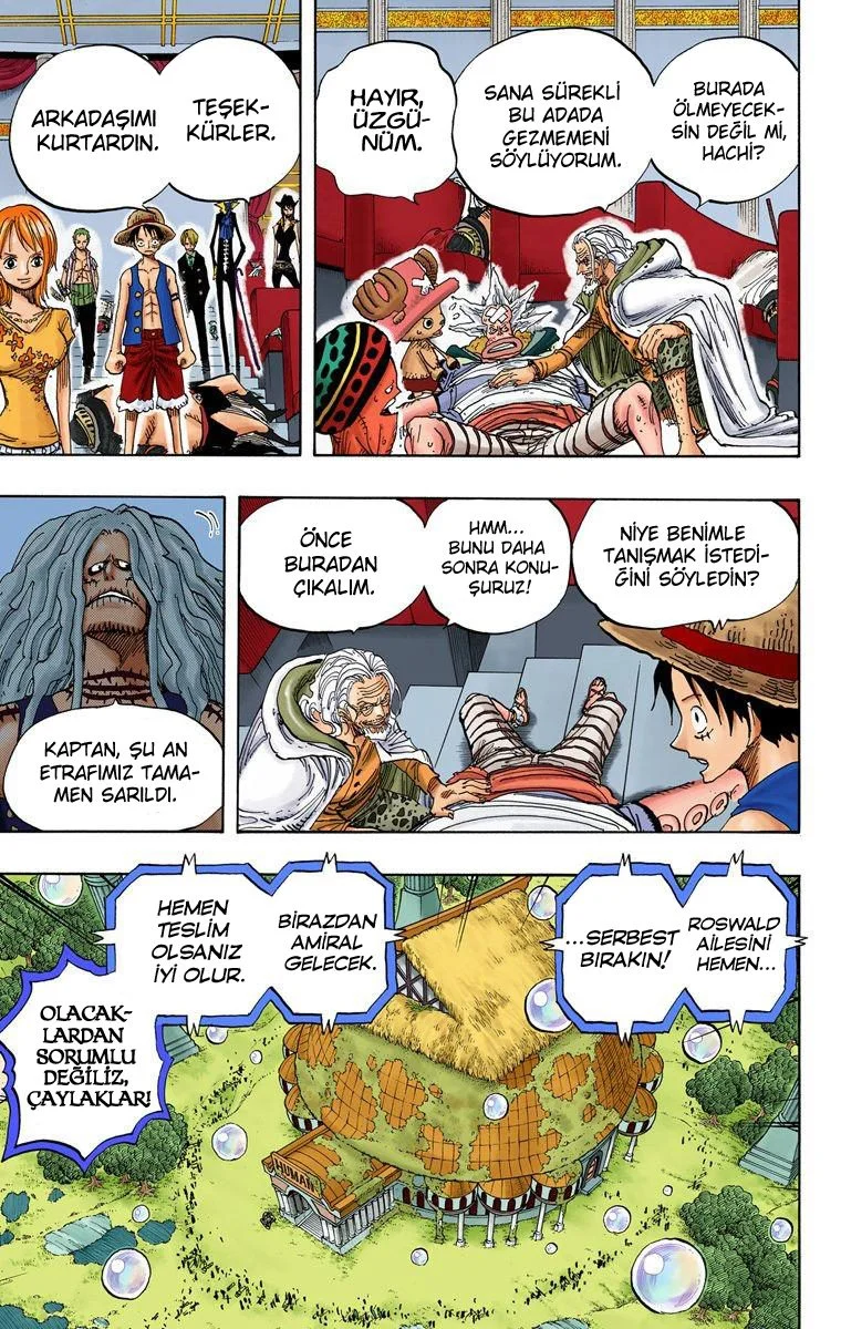 One Piece - Bölüm 504 - Sayfa 13