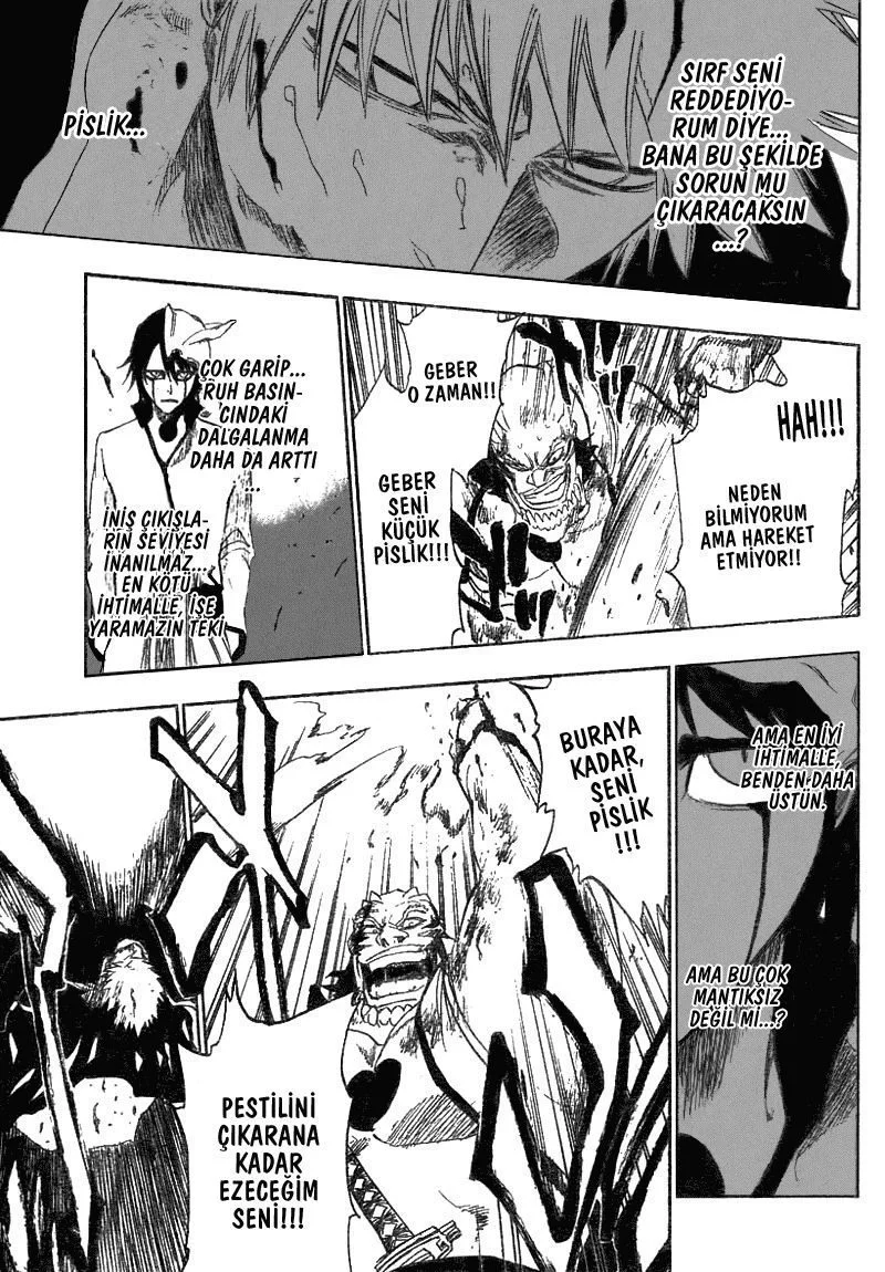 Bleach - Bölüm 193 - Sayfa 17