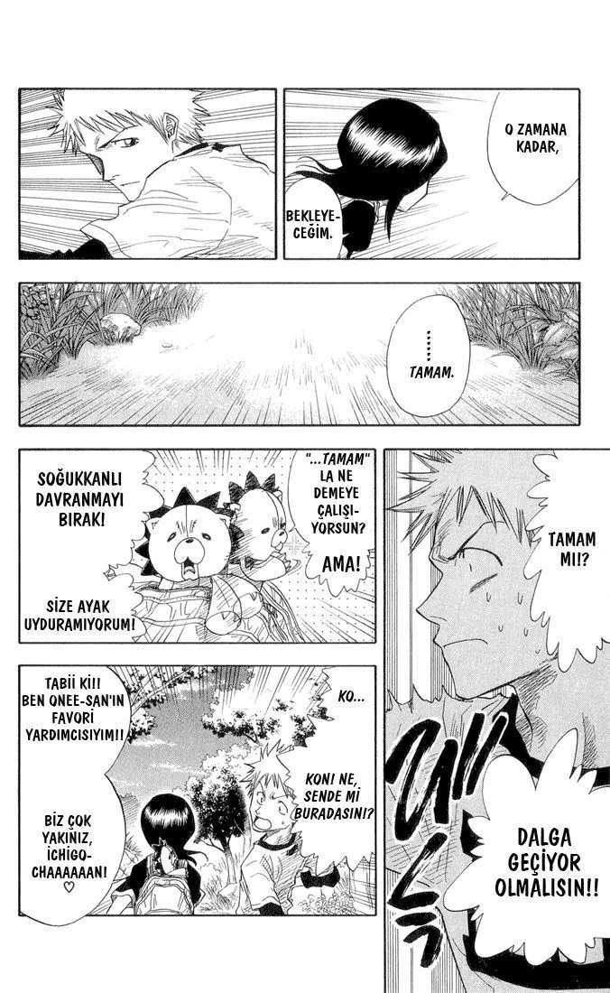 Bleach - Bölüm 20 - Sayfa 12