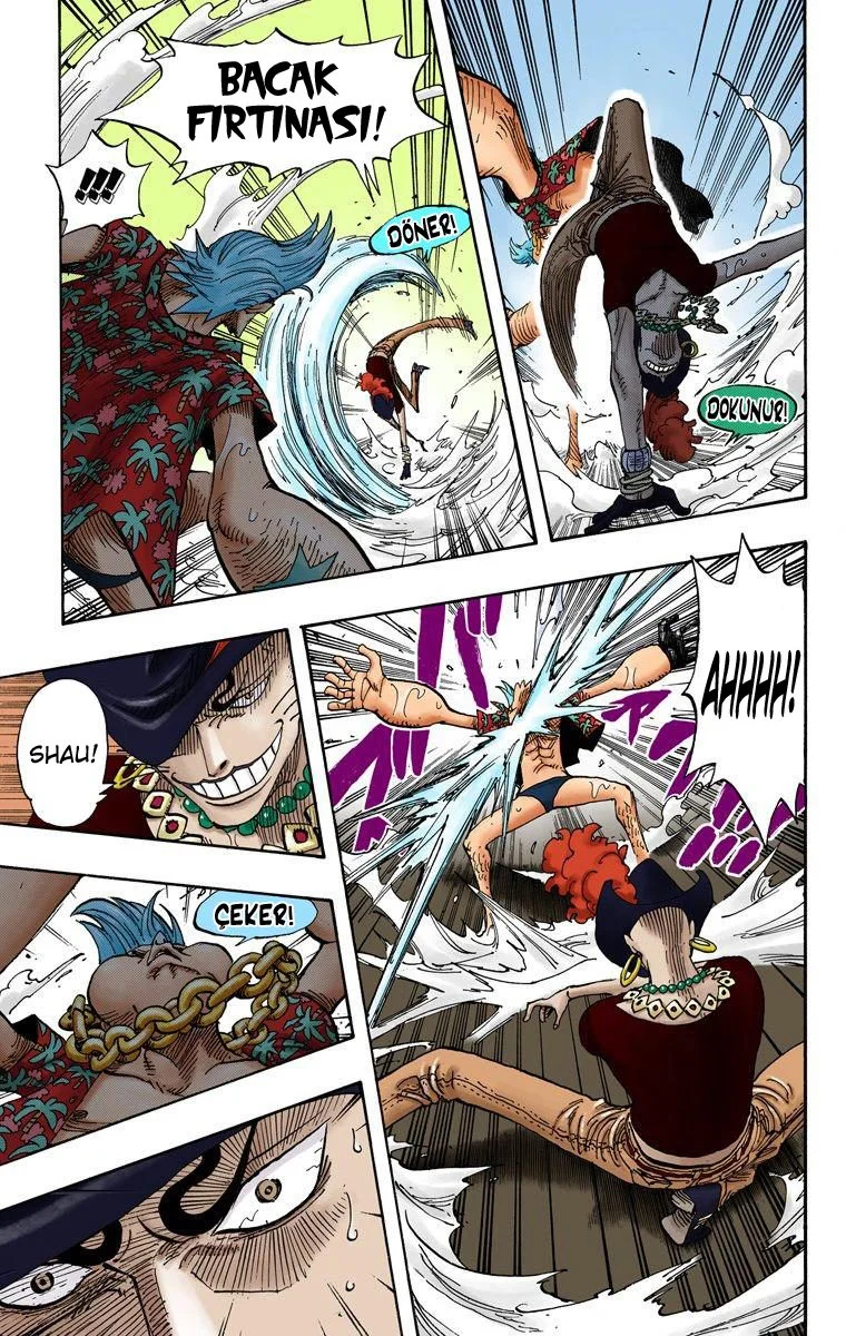 One Piece - Bölüm 370 - Sayfa 17