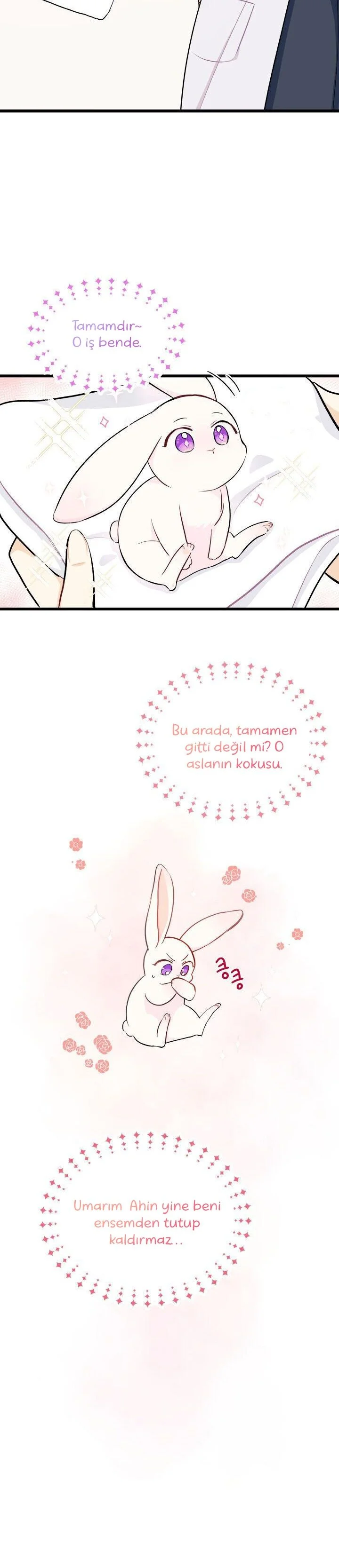 The Symbiotic Relationship Between the Rabbit and the Black Panther - Bölüm 10 - Sayfa 5