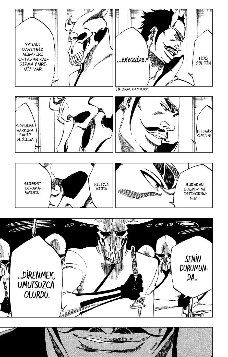 Bleach - Bölüm 254 - Sayfa 13