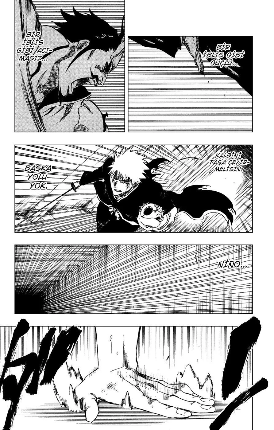 Bleach - Bölüm 254 - Sayfa 17