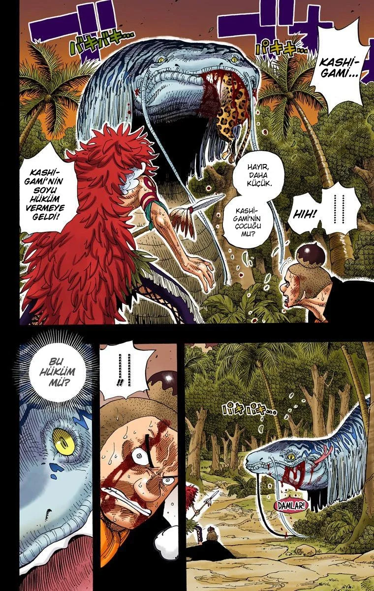 One Piece - Bölüm 289 - Sayfa 14