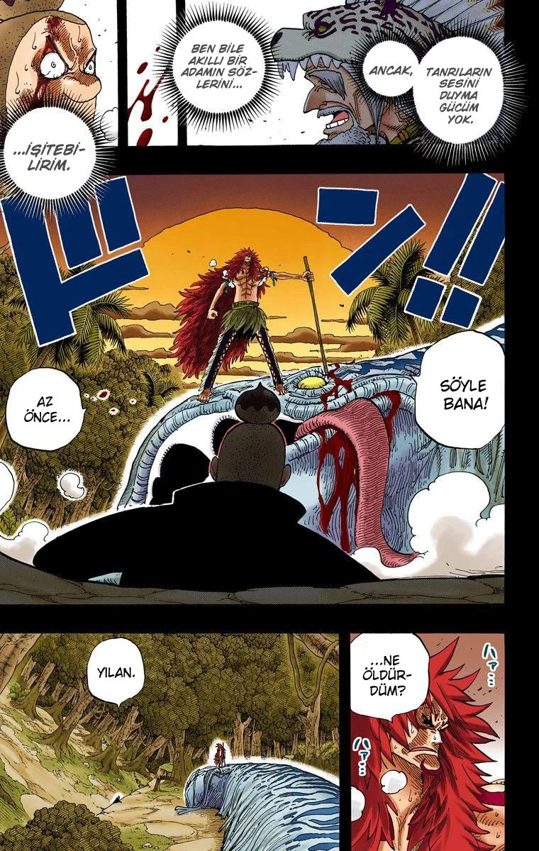 One Piece - Bölüm 289 - Sayfa 17