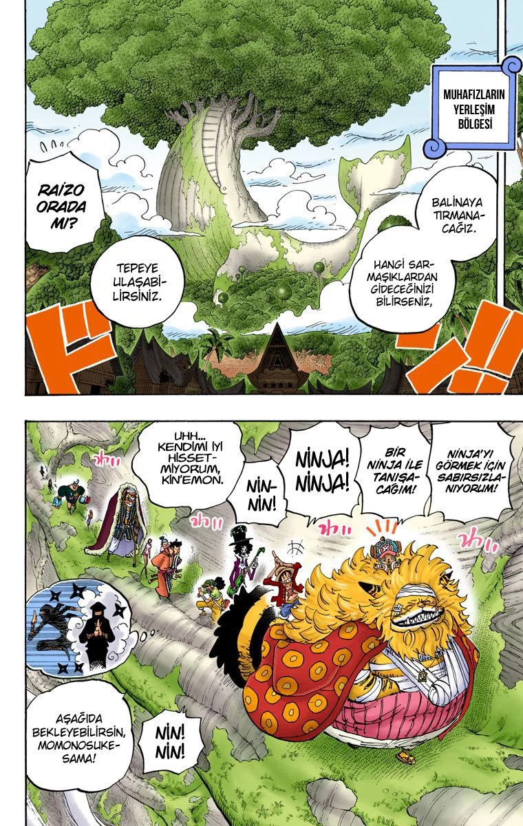 One Piece - Bölüm 817 - Sayfa 10