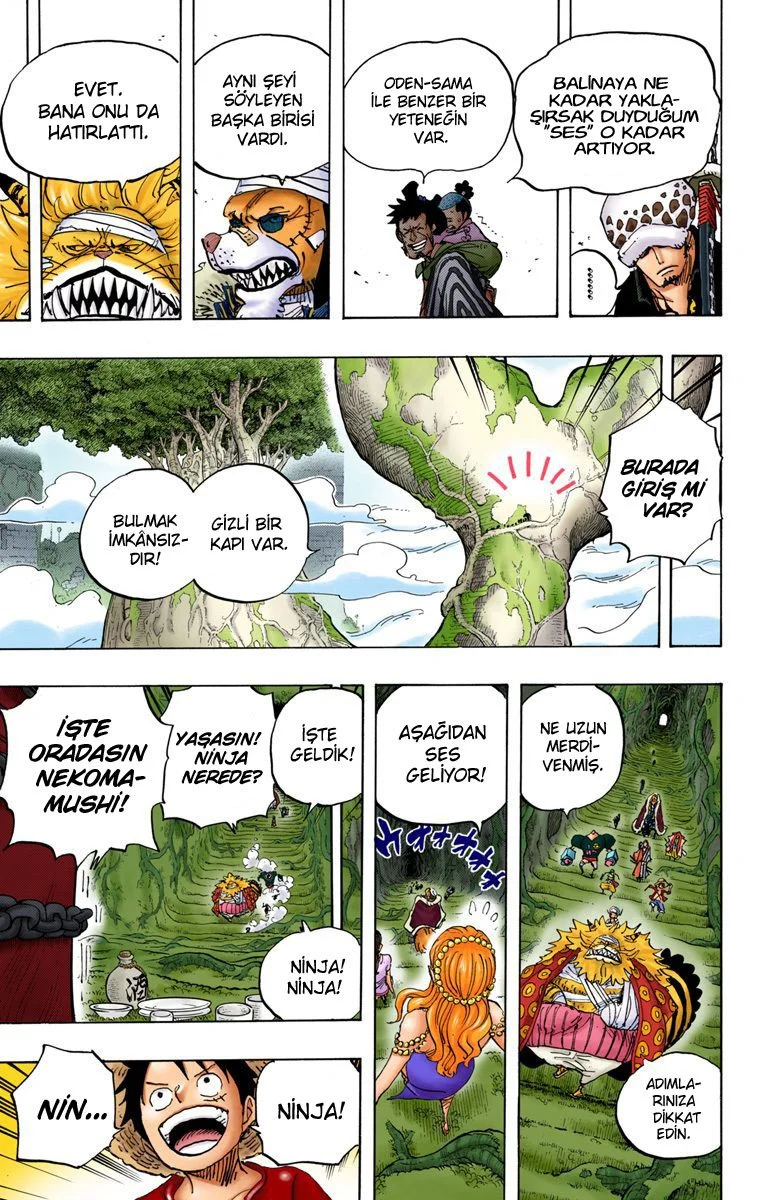 One Piece - Bölüm 817 - Sayfa 11