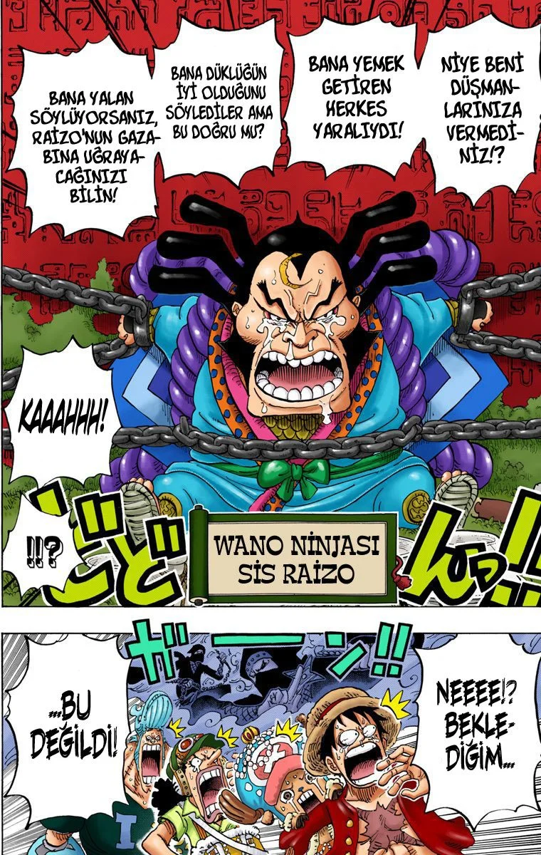 One Piece - Bölüm 817 - Sayfa 12