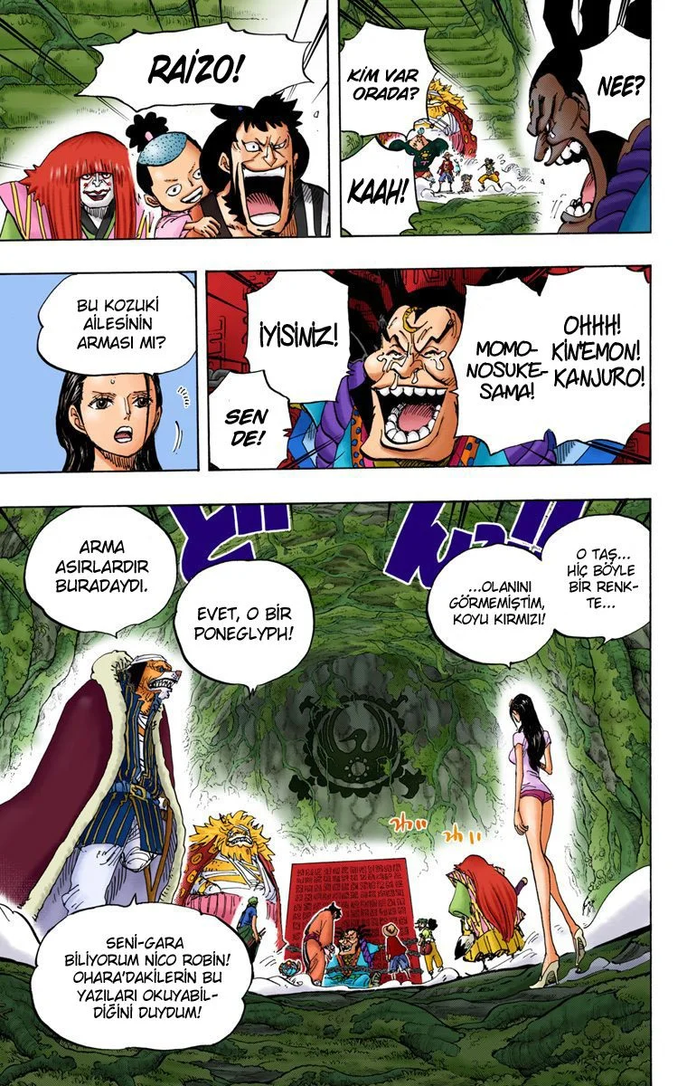 One Piece - Bölüm 817 - Sayfa 13