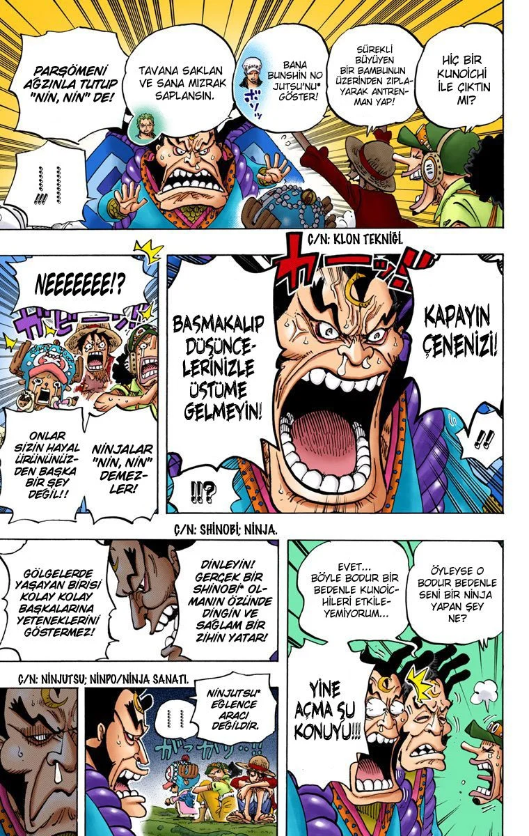 One Piece - Bölüm 817 - Sayfa 15