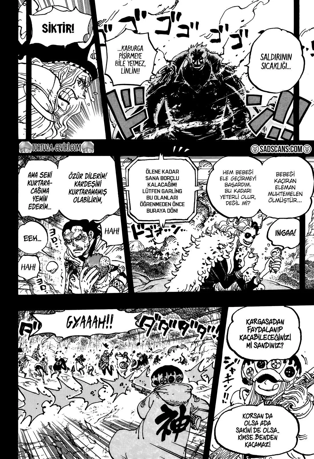 One Piece - Bölüm 1161 - Sayfa 10