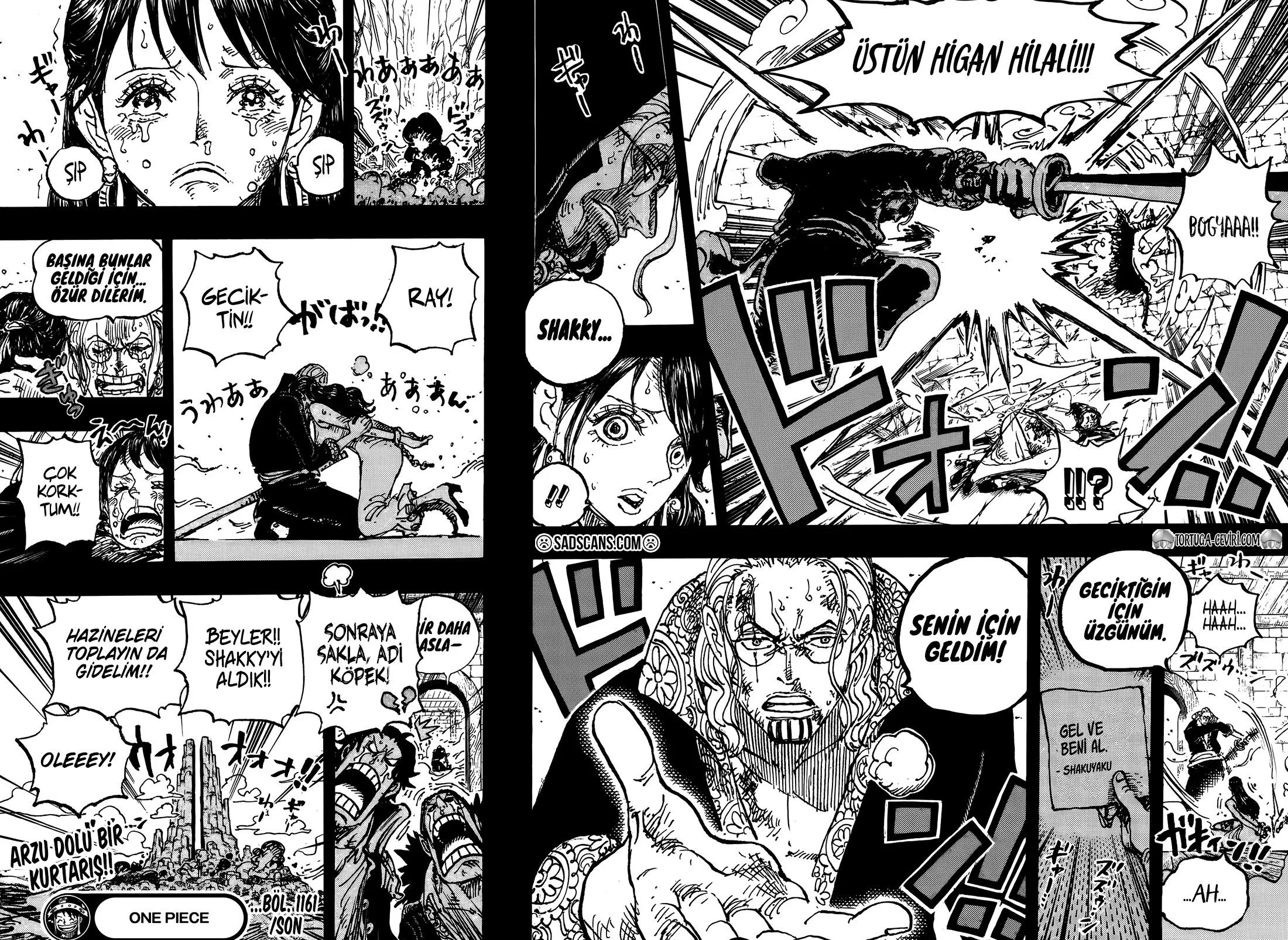 One Piece - Bölüm 1161 - Sayfa 16