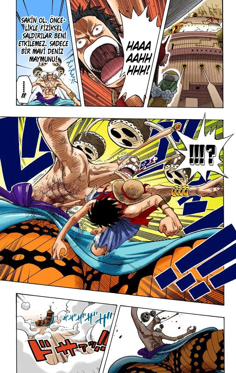 One Piece - Bölüm 279 - Sayfa 17