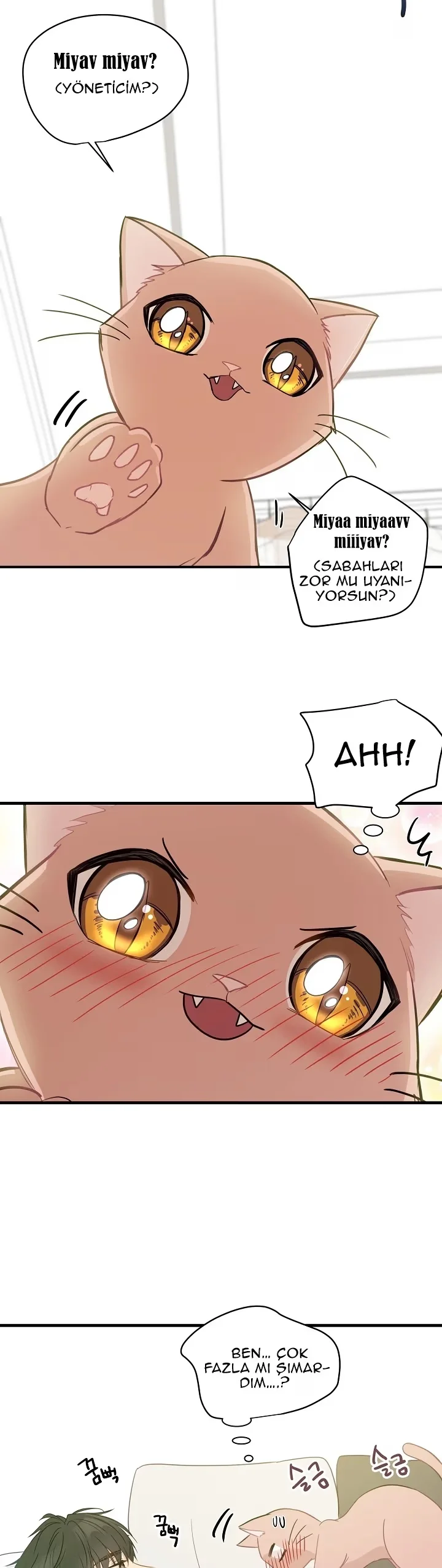 A Strange Life - Bölüm 8 - Sayfa 27