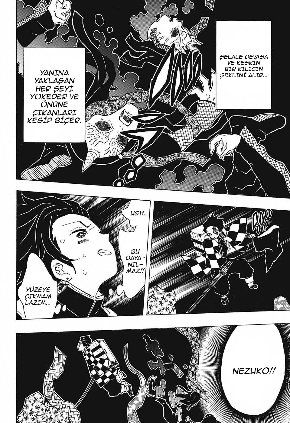 Demon Slayer: Kimetsu no Yaiba - Bölüm 12 - Sayfa 13