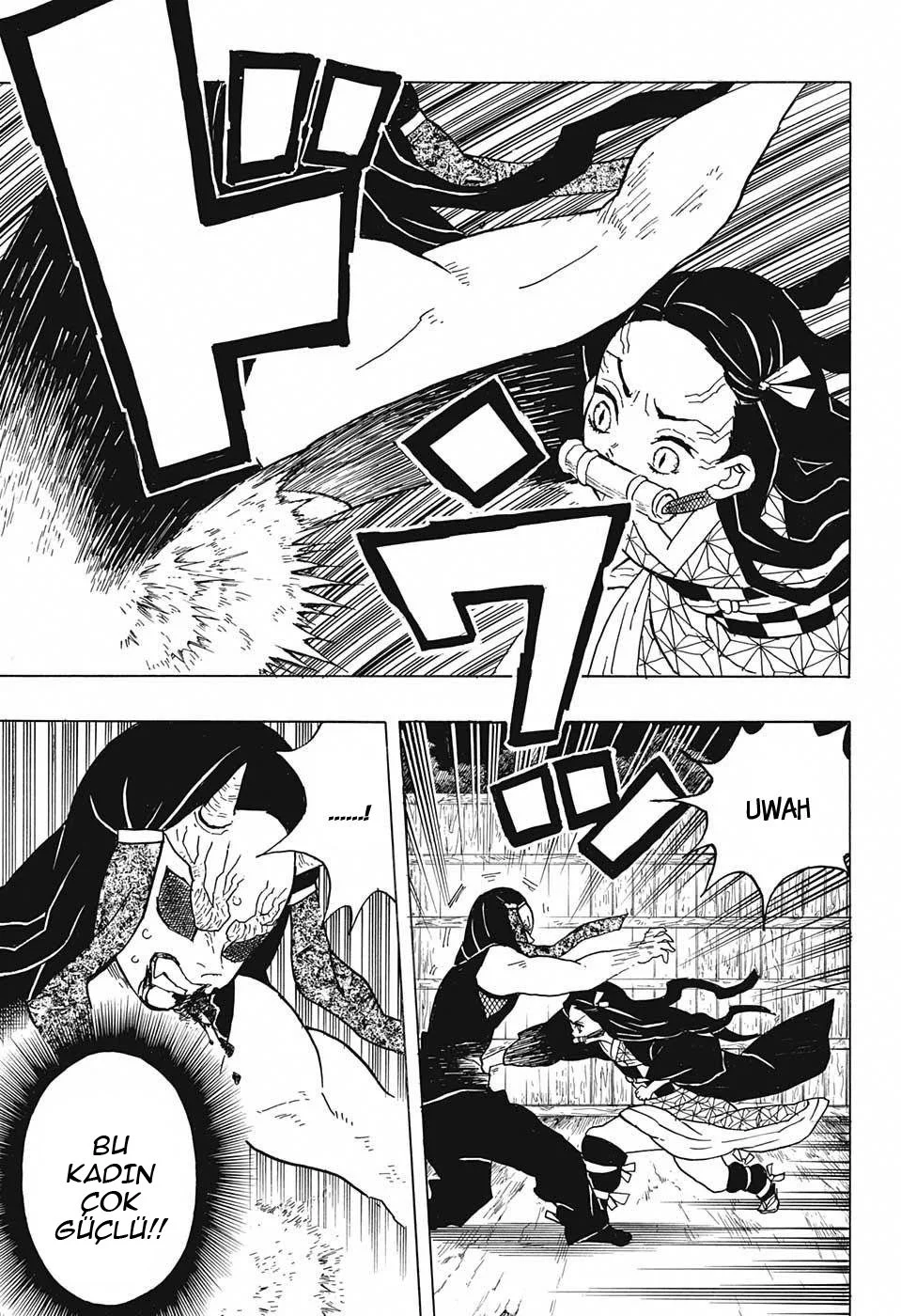 Demon Slayer: Kimetsu no Yaiba - Bölüm 12 - Sayfa 14