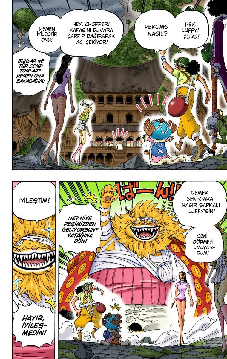 One Piece - Bölüm 815 - Sayfa 10