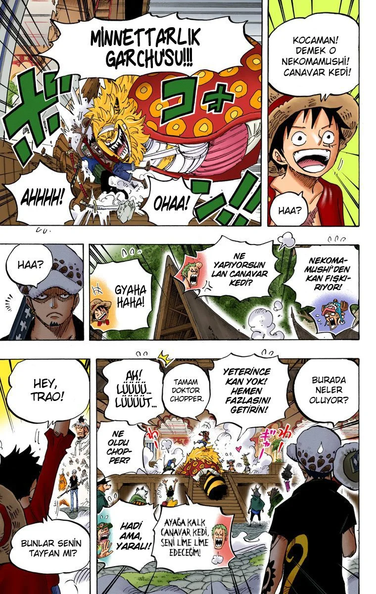 One Piece - Bölüm 815 - Sayfa 11