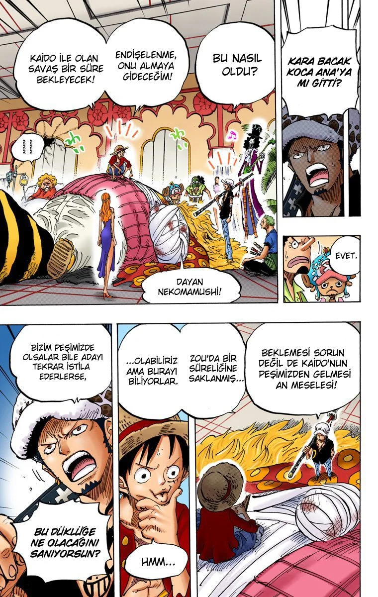 One Piece - Bölüm 815 - Sayfa 13