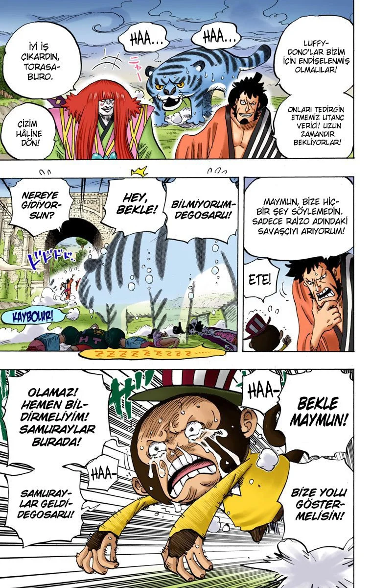 One Piece - Bölüm 815 - Sayfa 17