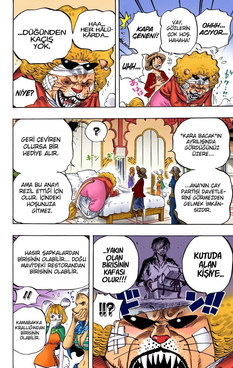 One Piece - Bölüm 815 - Sayfa 4