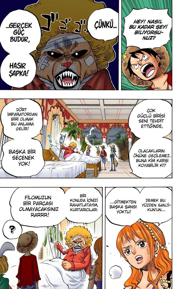 One Piece - Bölüm 815 - Sayfa 5