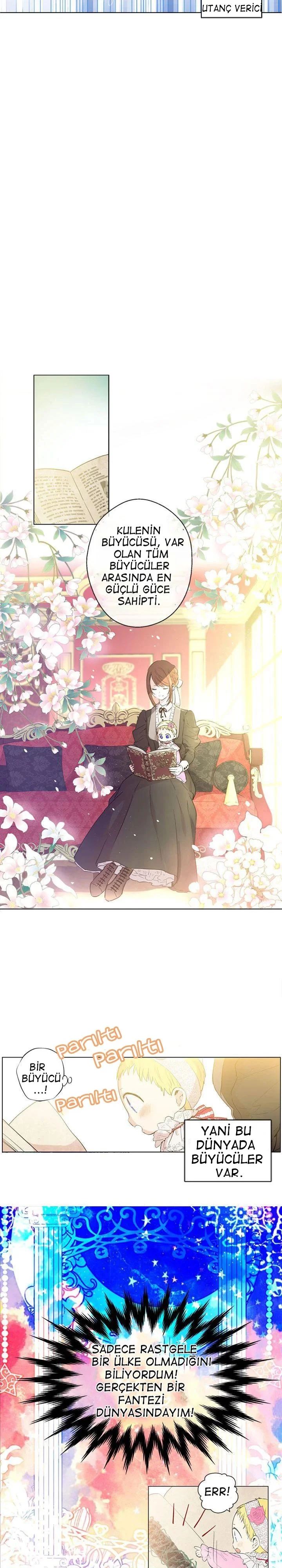 Who Made Me a Princess - Bölüm 2 - Sayfa 12