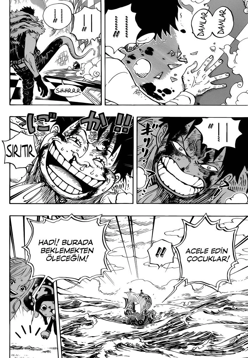 One Piece - Bölüm 881 - Sayfa 15