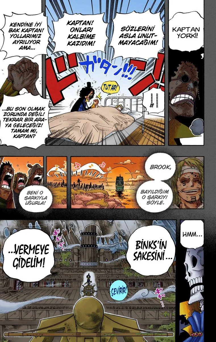 One Piece - Bölüm 487 - Sayfa 19