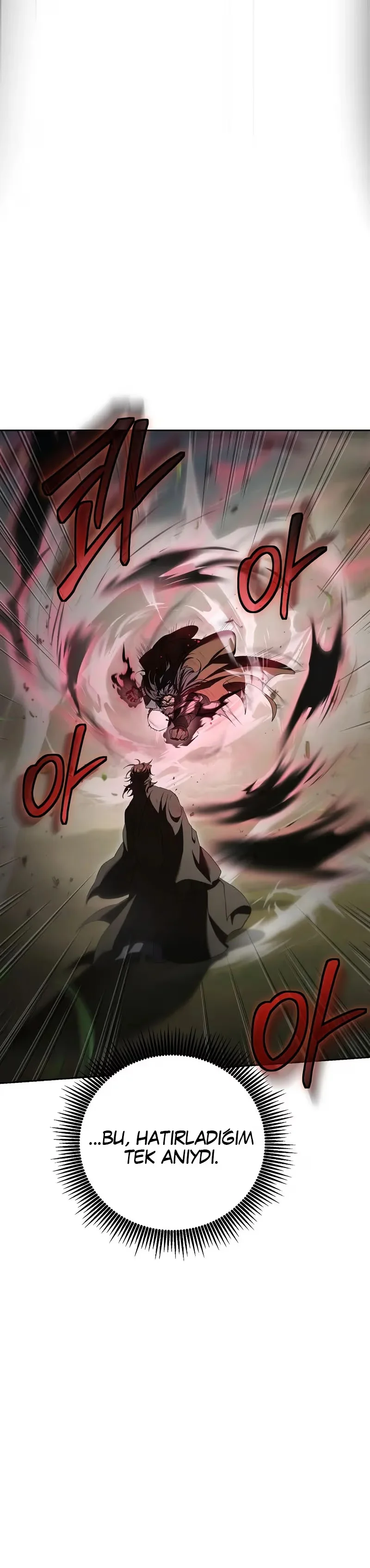 Wandering Warrior of Wudang - Bölüm 149 - Sayfa 28