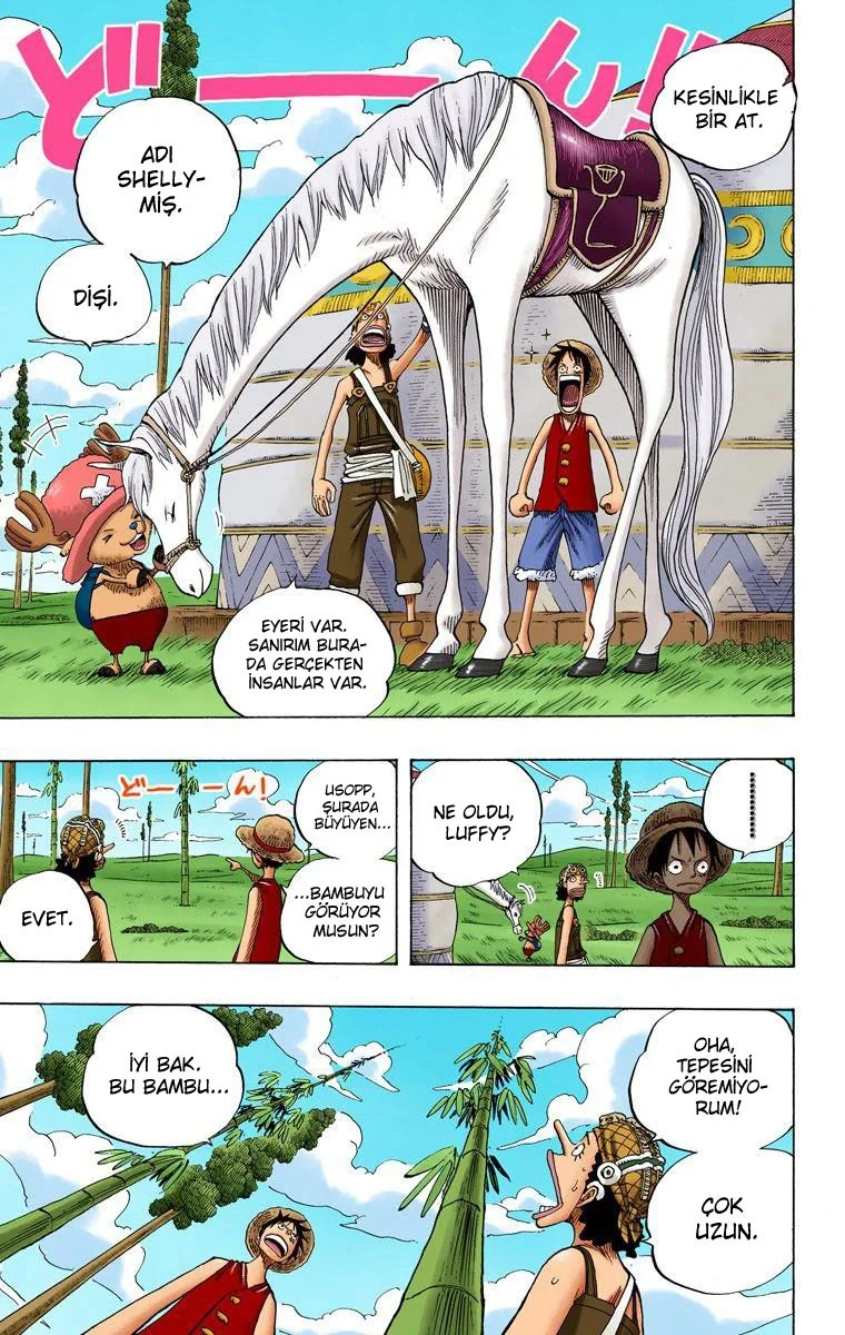 One Piece - Bölüm 304 - Sayfa 13