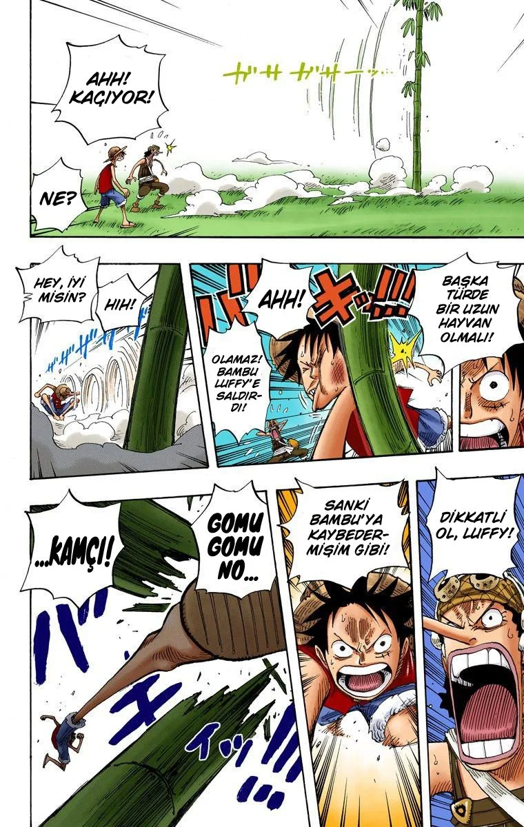 One Piece - Bölüm 304 - Sayfa 14