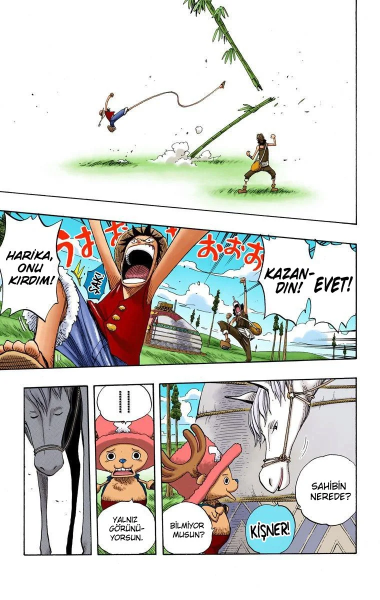 One Piece - Bölüm 304 - Sayfa 15