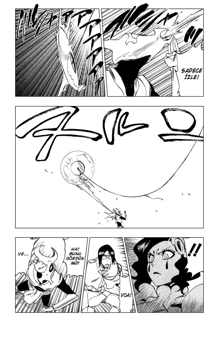 Bleach - Bölüm 256 - Sayfa 15