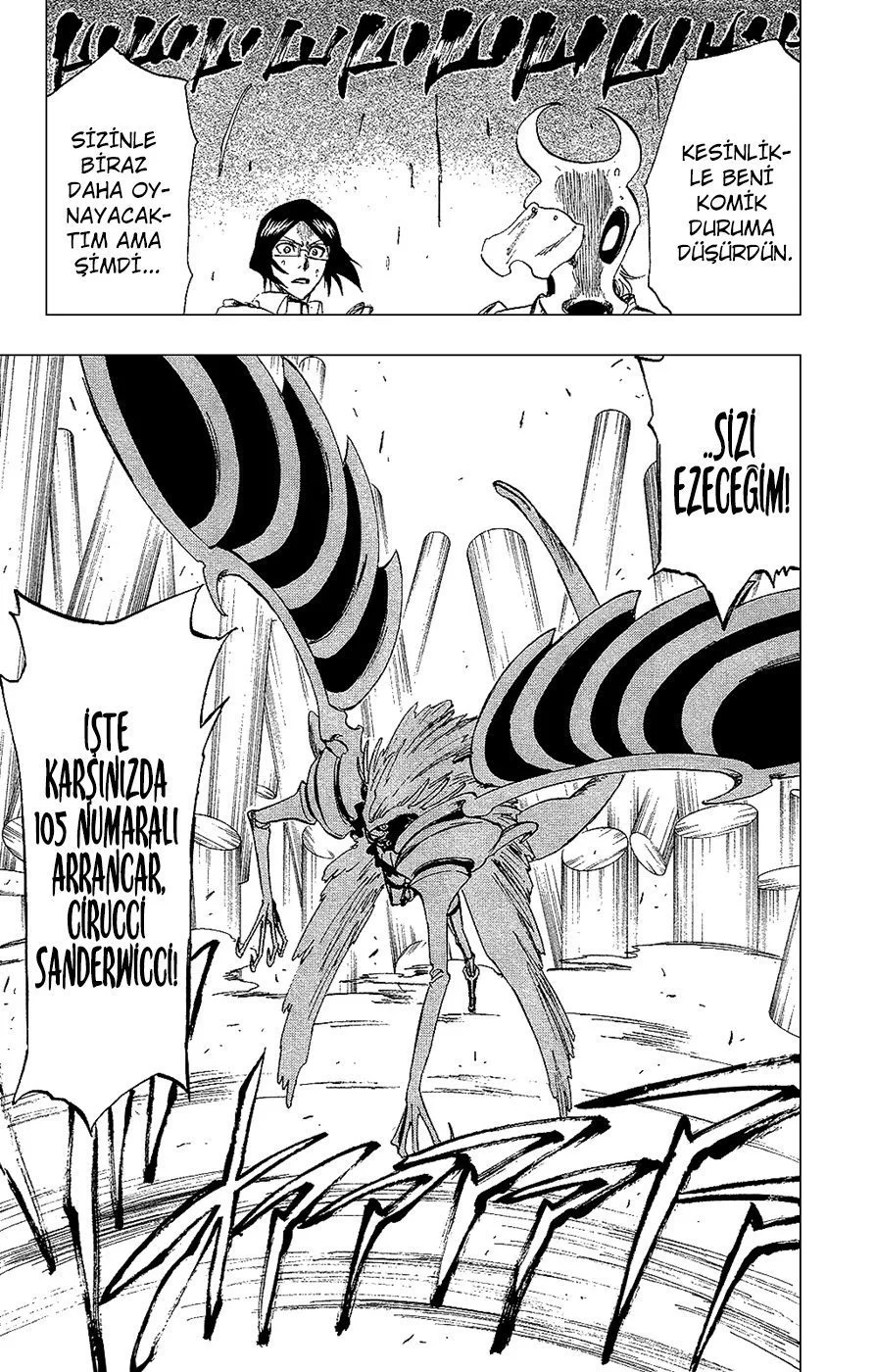 Bleach - Bölüm 256 - Sayfa 19