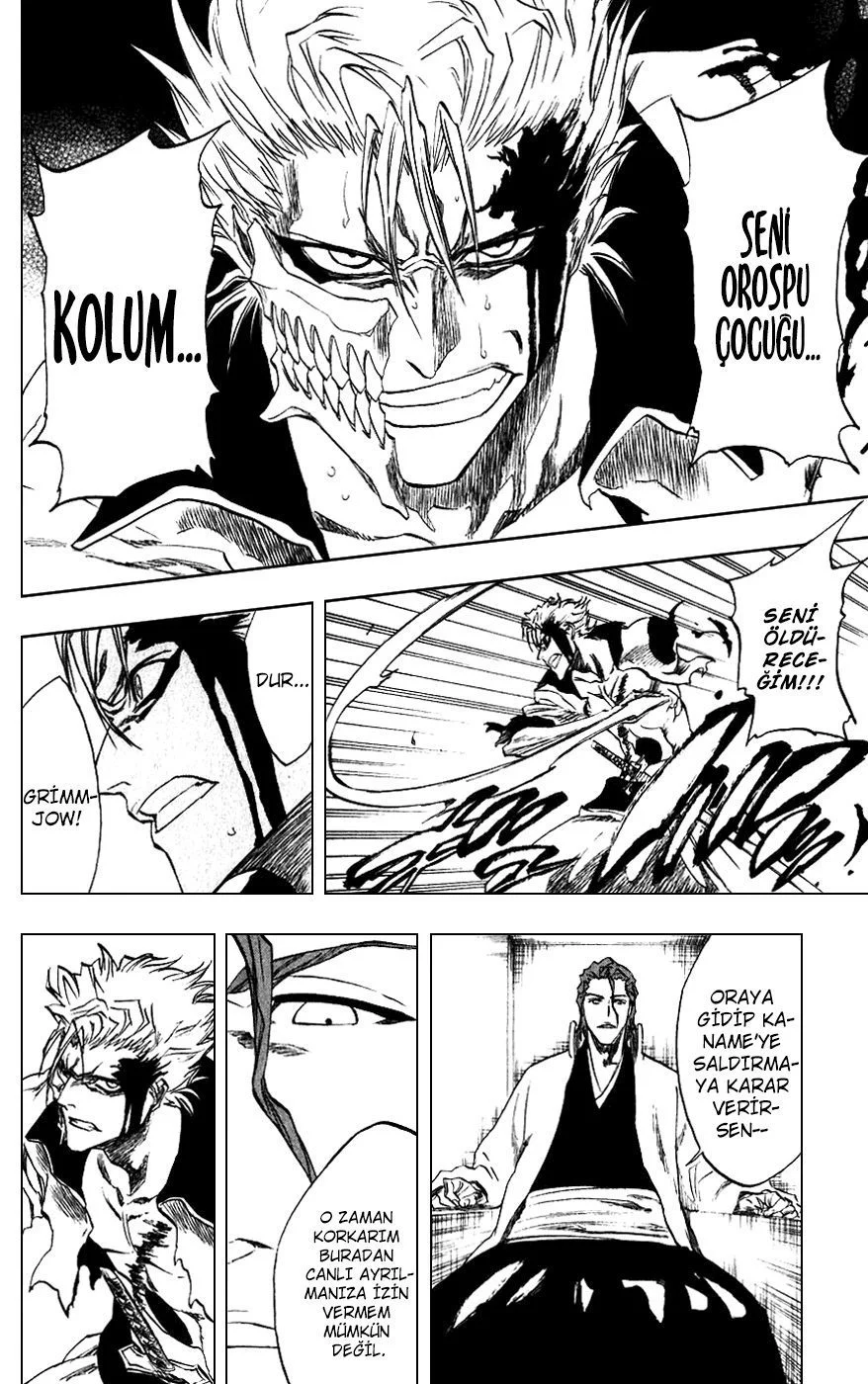 Bleach - Bölüm 213 - Sayfa 16