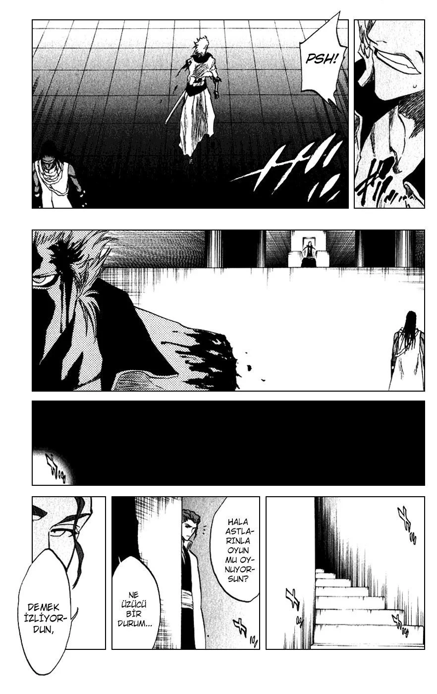 Bleach - Bölüm 213 - Sayfa 17