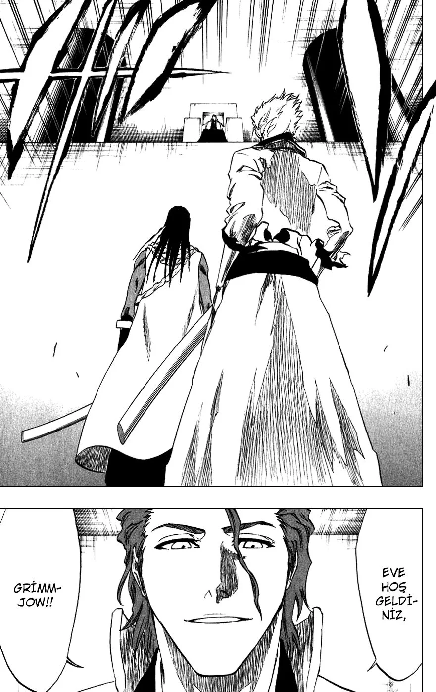 Bleach - Bölüm 213 - Sayfa 9