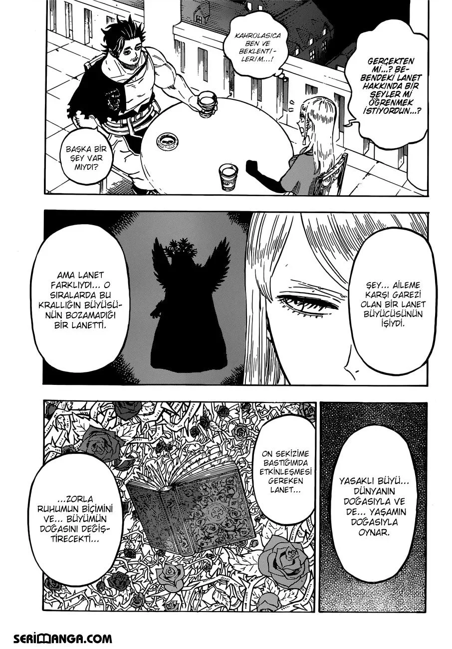 Black Clover - Bölüm 221 - Sayfa 13