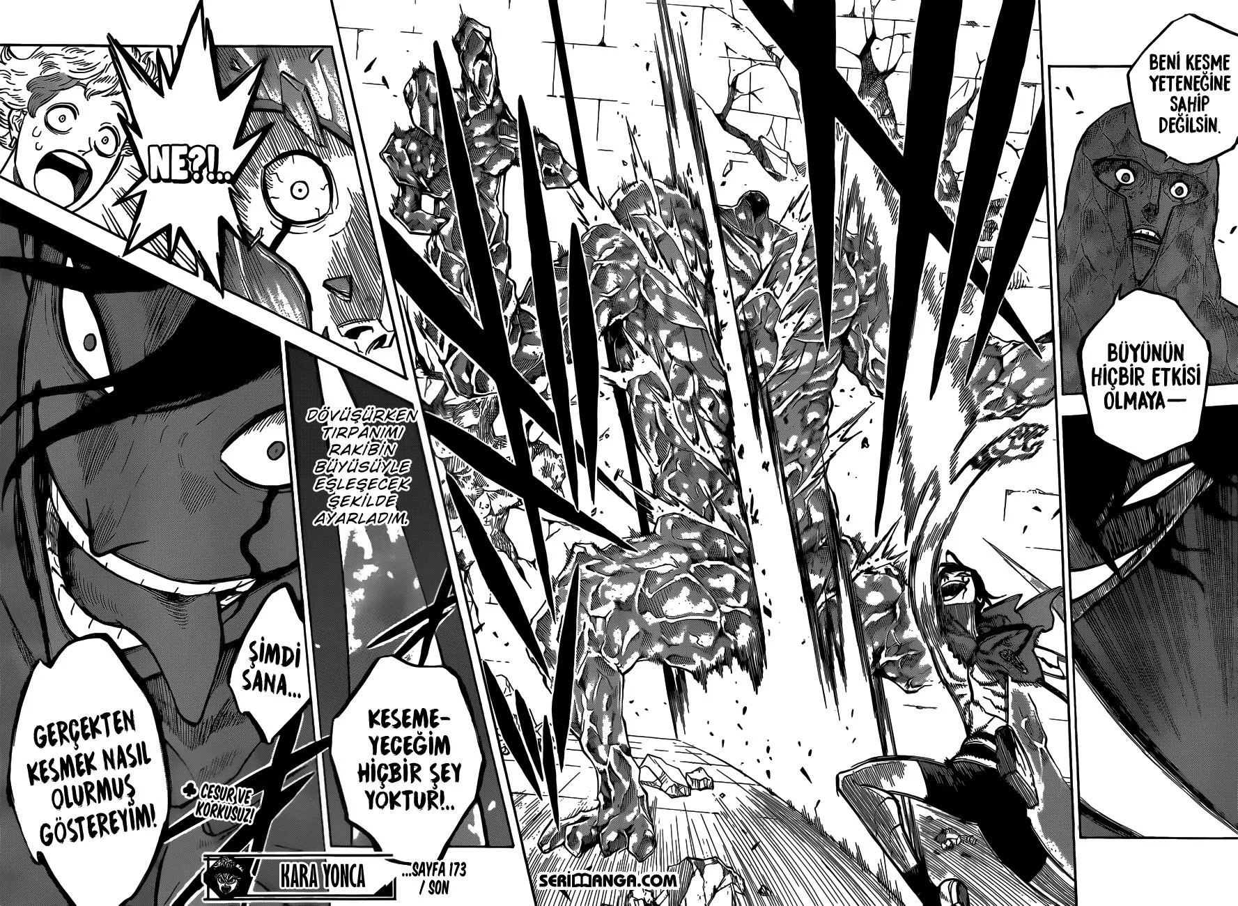 Black Clover - Bölüm 173 - Sayfa 17