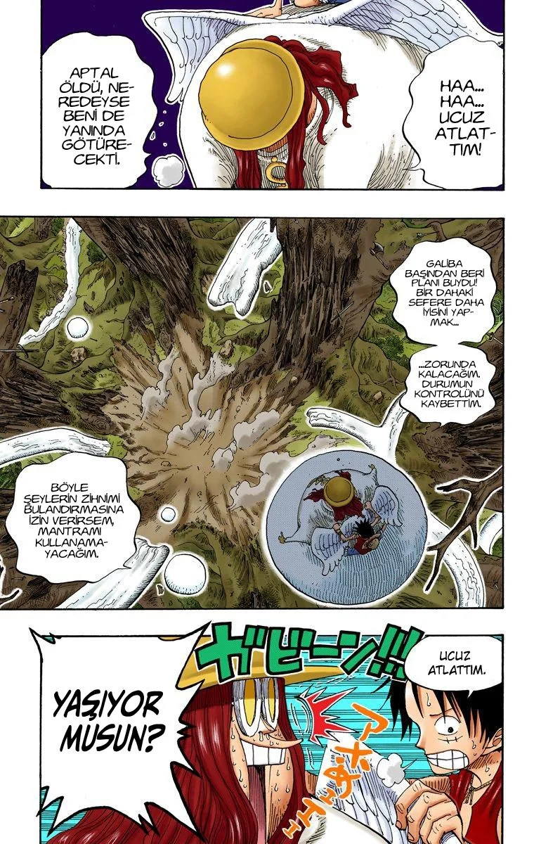 One Piece - Bölüm 250 - Sayfa 13