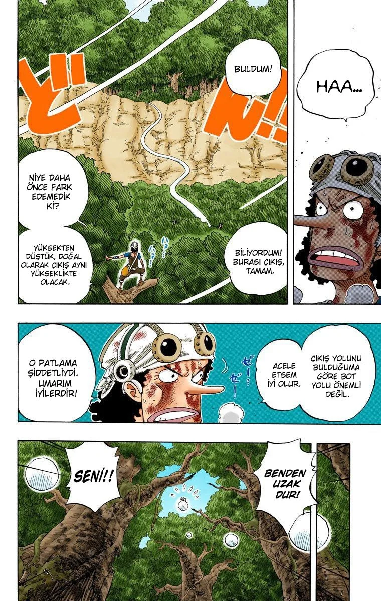 One Piece - Bölüm 250 - Sayfa 14