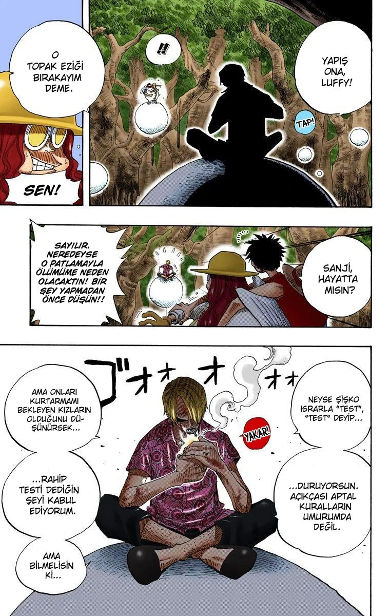 One Piece - Bölüm 250 - Sayfa 15