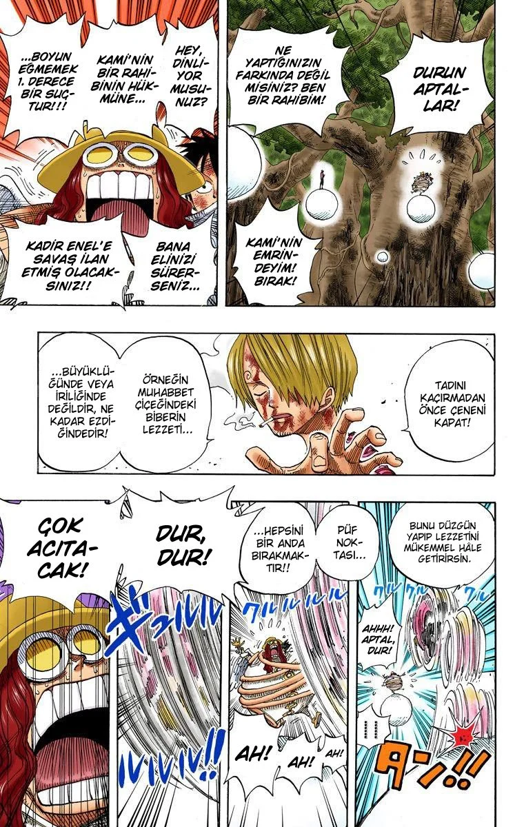 One Piece - Bölüm 250 - Sayfa 17