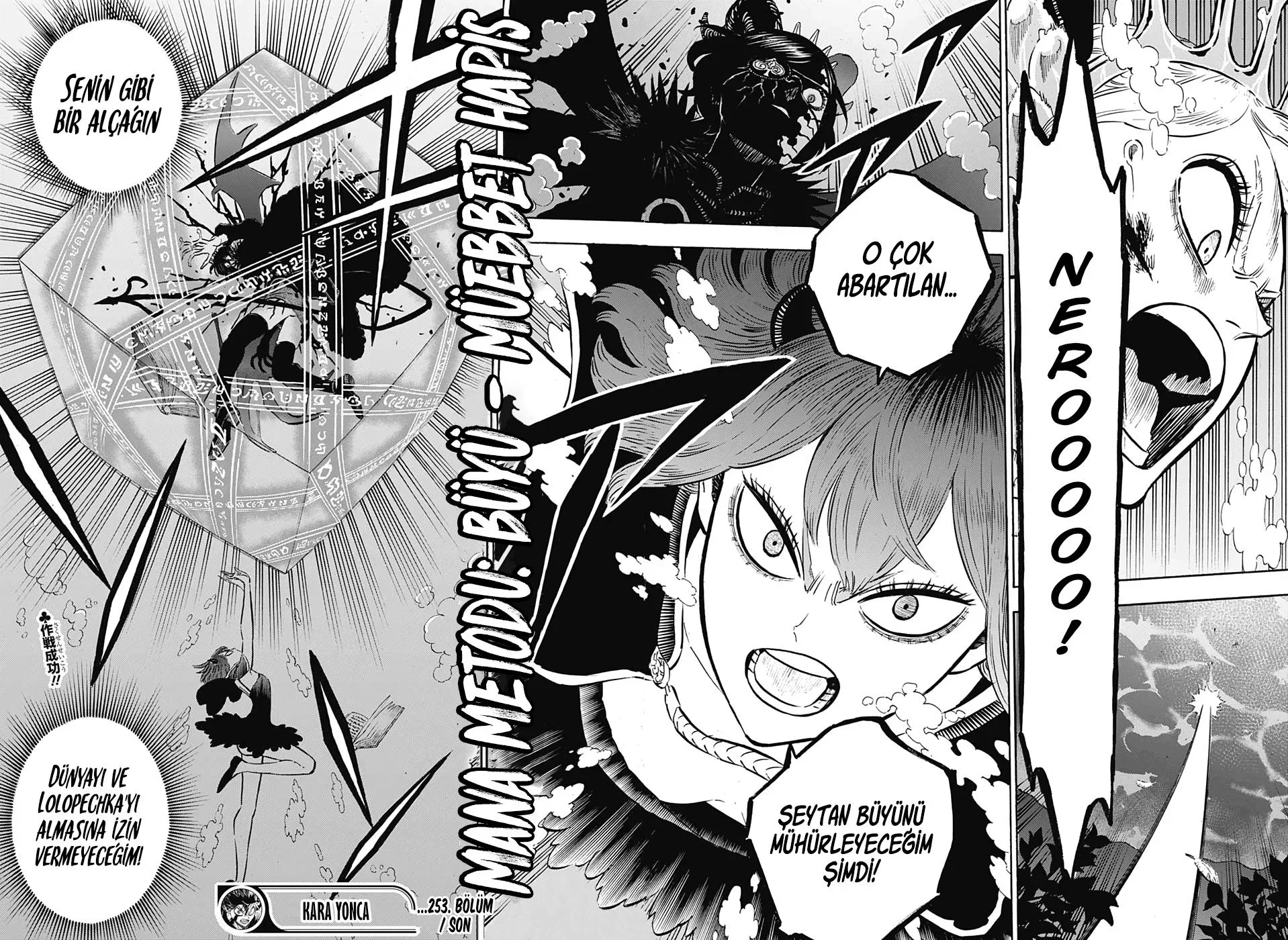 Black Clover - Bölüm 253 - Sayfa 14