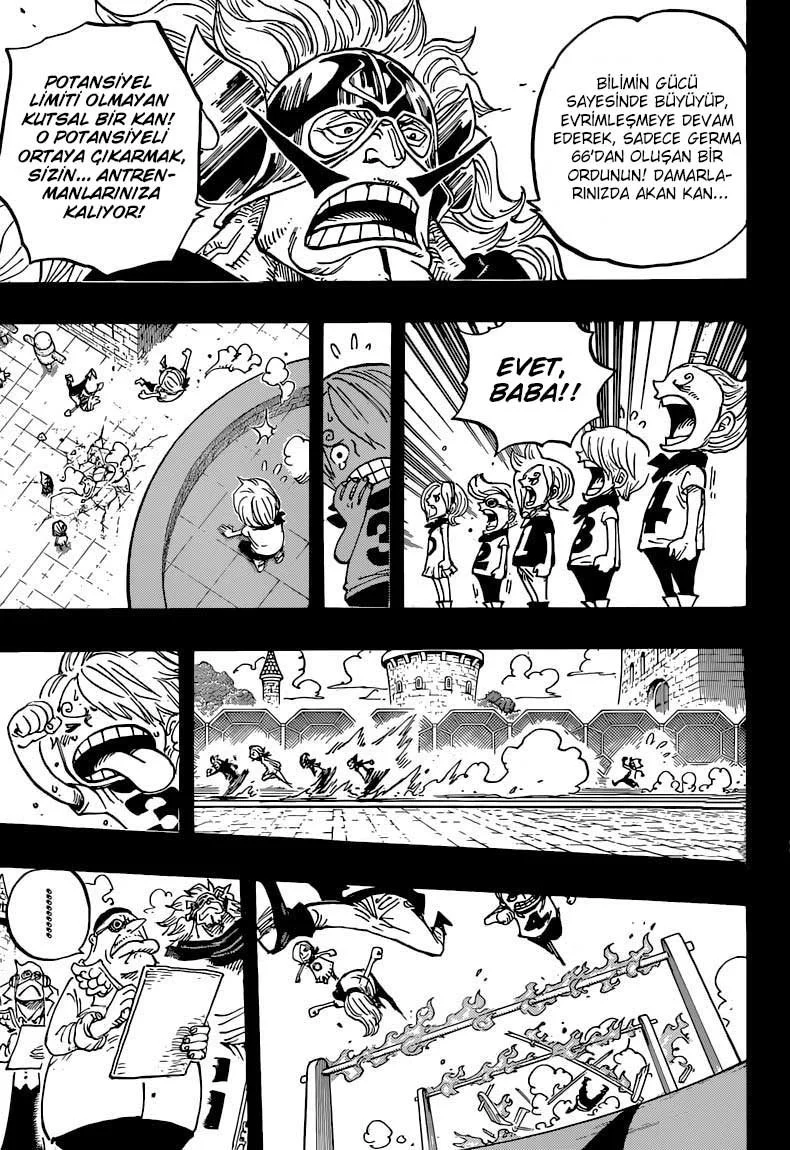 One Piece - Bölüm 840 - Sayfa 11
