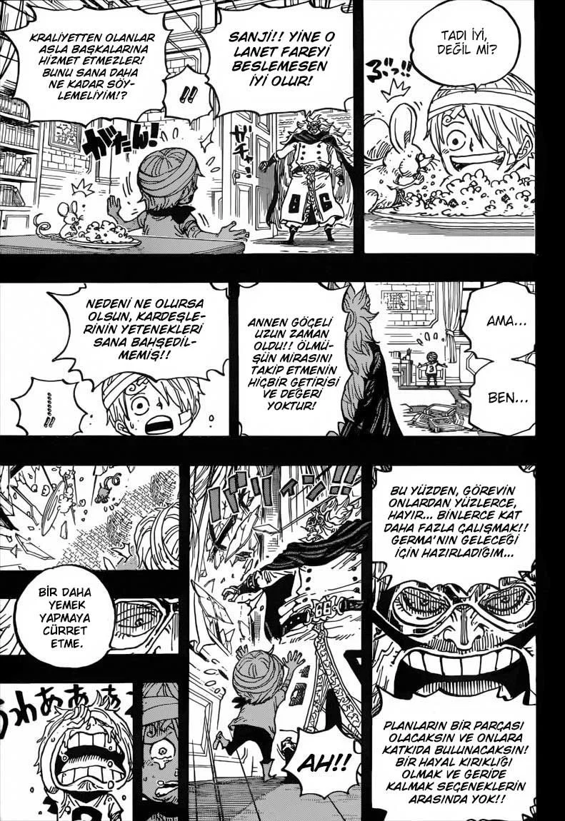 One Piece - Bölüm 840 - Sayfa 15